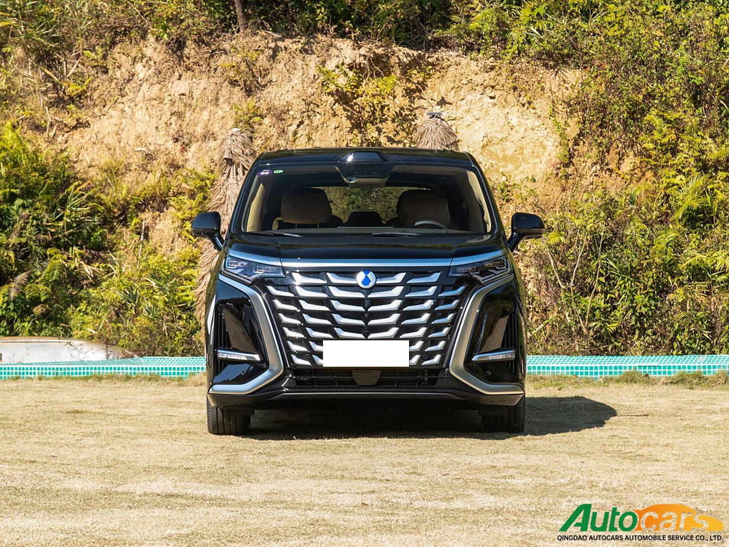 Denza D9 2025 DM-i Intelligent Driving Edition 1020 4WD Flagship Model!