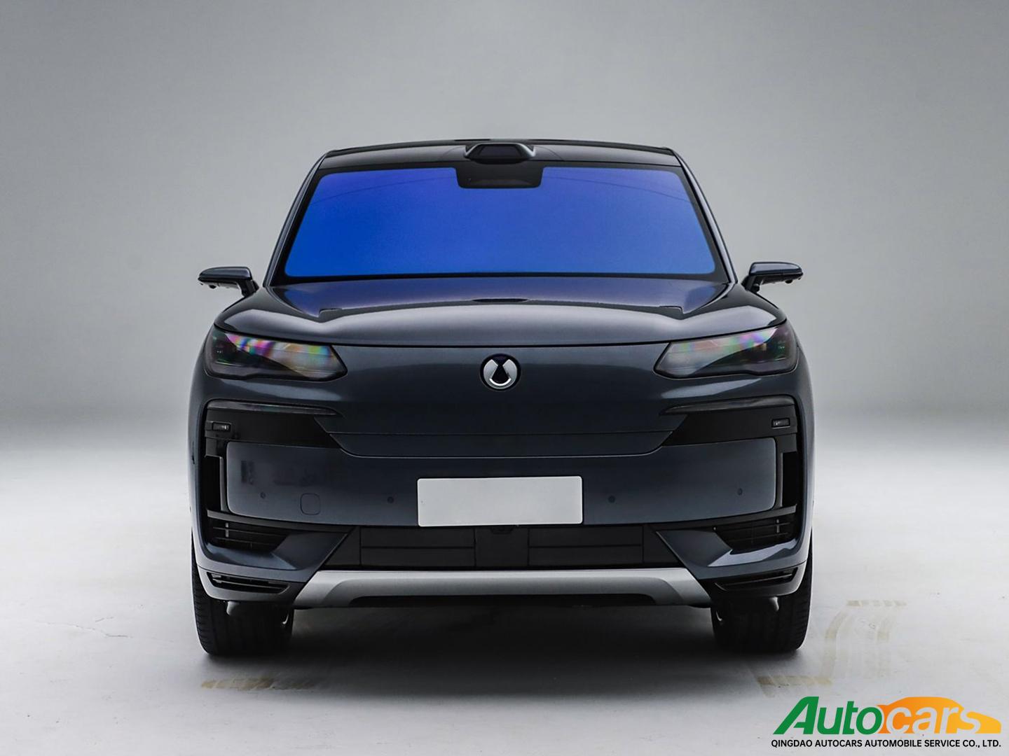 Denza N9 2025 flagship model